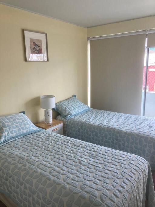 Centrico Y Amplio Departamento Con Terrazas Iquique